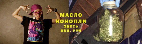 сатива Иннополис