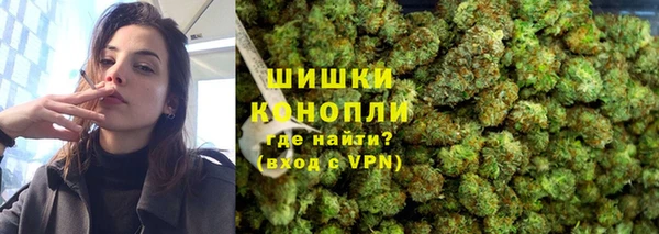 сатива Иннополис