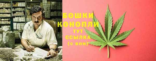 ALPHA-PVP Инсар
