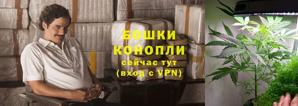 сатива Иннополис