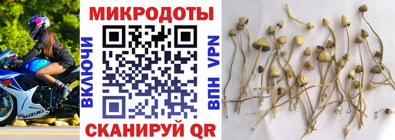 Псилоцибиновые грибы мицелий  Купить где  Биробиджан 